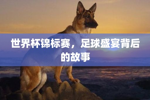 世界杯锦标赛，足球盛宴背后的故事