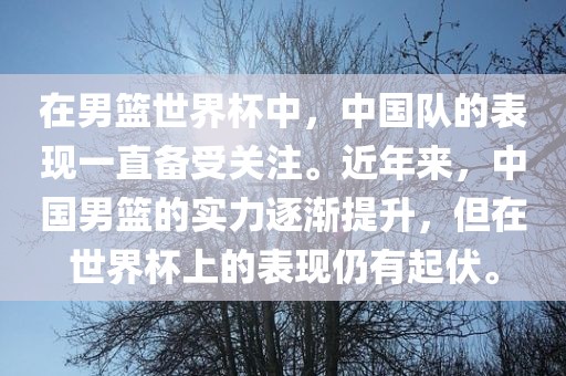 中国男篮表现