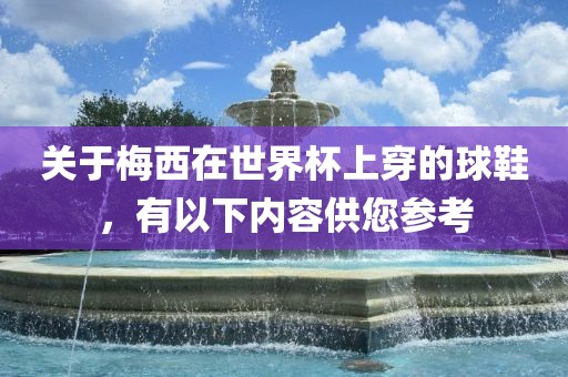 关于梅西在世界杯上穿的球鞋，有以下内容供您参考