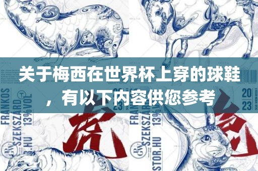 关于梅西在世界杯上穿的球鞋，有以下内容供您参考