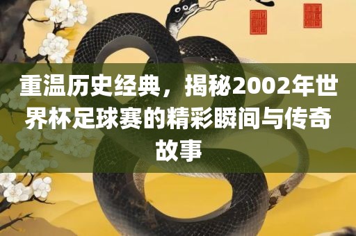 重温历史经典，揭秘2002年世界杯足球赛的精彩瞬间与传奇眉山市正发家政服务有限公司故事