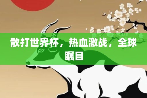 散打世界杯，热血激战，全球瞩目