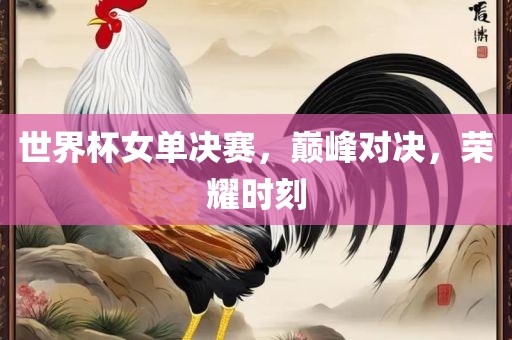 世界杯女单决赛，巅峰对决，荣耀时刻