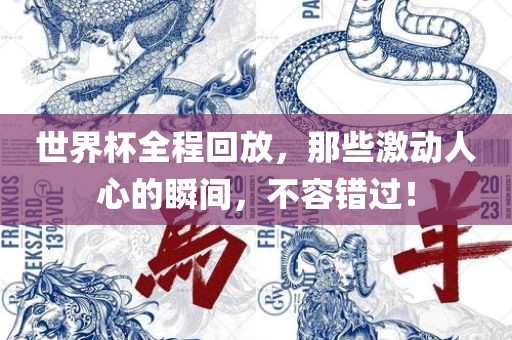 世界杯全程回放，那些激动人心的瞬间，不容错过！