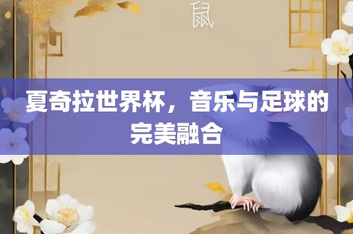 夏奇拉世界杯，音乐与足球的完美融合眉山市正发家政服务有限公司