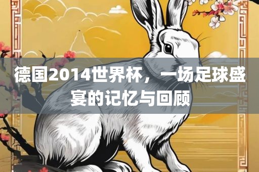德国2014世界杯，一场足球盛宴的记忆与回顾