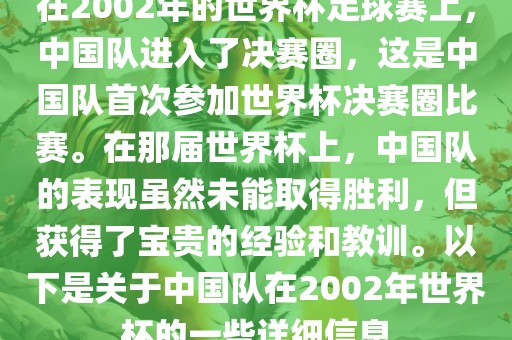在2002年的世界杯足球赛上，中国队进入了决赛圈，这是中国队首次参加世界杯决赛圈比赛。在那届世界杯上，中国队的表现虽然未能取得胜利，但获得了宝贵的经验和教训。以下是关于中国队在2002年世界杯的一些详细信息