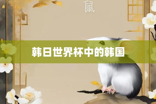 韩日世界杯中的韩国