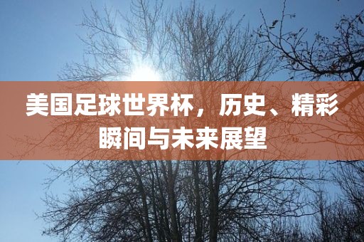 美国足球世界杯，历史眉山市正发家政服务有限公司、精彩瞬间与未来展望