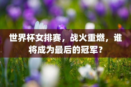 世界杯女排赛，战火重燃，谁将成为最后的冠军？