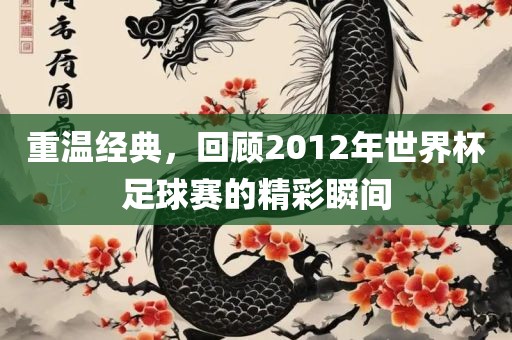 重温经典，回顾2012年世界杯足球赛的精彩瞬间