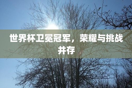 世界杯卫冕冠军，荣耀与挑战并存