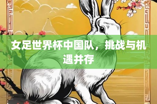 女足世界杯中国队，挑战与机遇并存