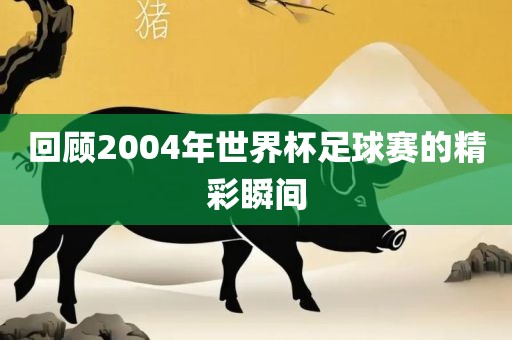 回顾2004年世界杯足球赛的精彩瞬间眉山市正发家政服务有限公司