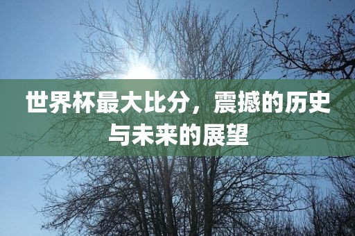 世界杯最大比分，震撼的历史与未来的展望眉山市正发家政服务有限公司