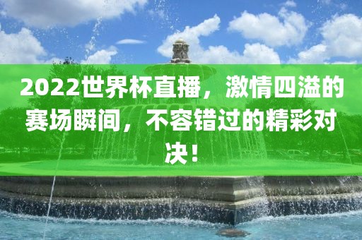 2022世界杯直播，激情四溢的赛场瞬间，不容错过的精彩对决！眉山市正发家政服务有限公司