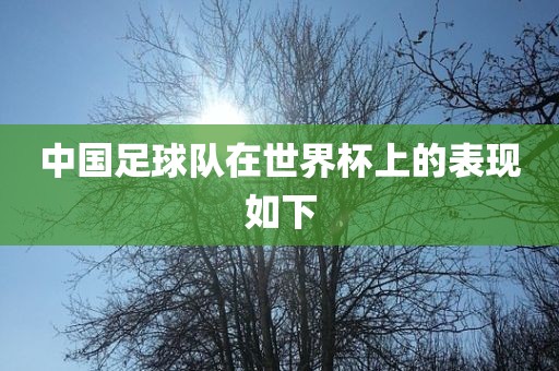 中国足球队在世界杯上的表现如下眉山市正发家政服务有限公司