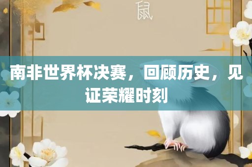 南非世界杯决赛，回顾历史，见证荣耀时刻