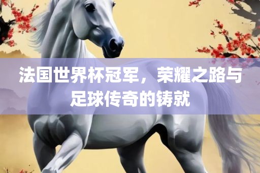 法国世界杯冠军，荣耀之路与足球传奇的铸就