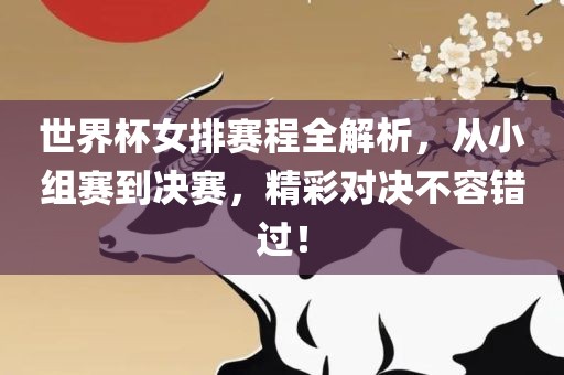 世界杯女排赛程全解析，从小组赛到决赛，精彩对决不容错过！