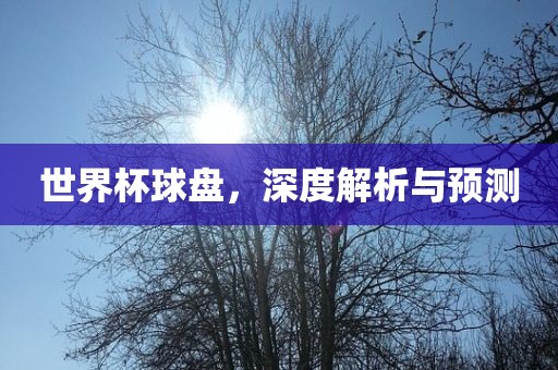 世界杯球盘，深度解析与预测