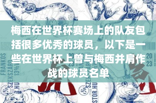 梅西在世界杯赛场上的队友包括很多优秀的球员，以下是一些在世界杯上曾与梅西并肩作战的球员名单