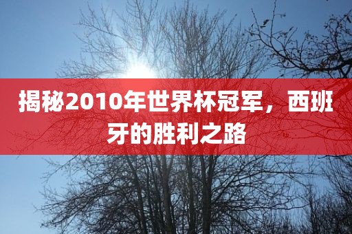 揭秘2010年世界杯冠军，西班牙的胜利之路