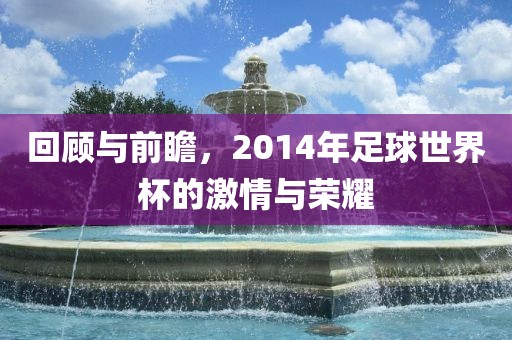 回顾与前瞻，2014年足球世界杯的激情与荣耀眉山市正发家政服务有限公司