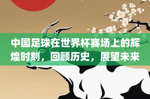 中国足球在世界杯赛场上的辉煌时刻，回顾历史，展望未来
