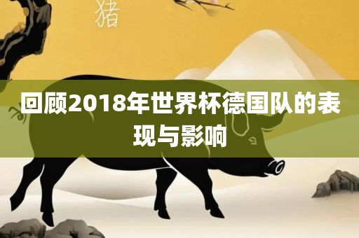 回顾2018年世界杯德国队的表现与影响