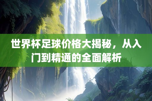 世界杯足球价格大揭秘，从入门到精通的全面解析
