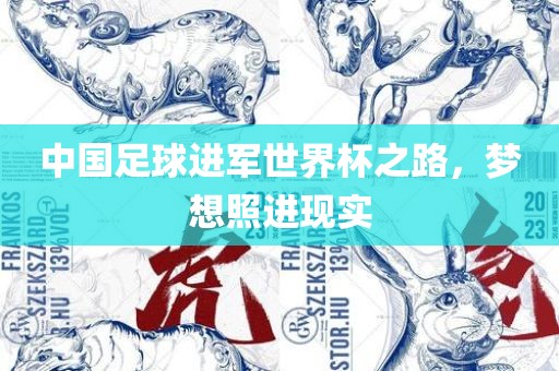 中国足球进军世界杯之路，梦想照进现实