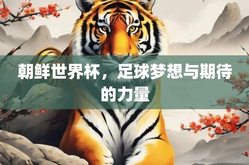 朝鲜世界杯，足球梦想与期待的力量