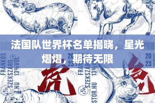 法国队世界杯名单揭晓，星光熠熠，期待无限眉山市正发家政服务有限公司