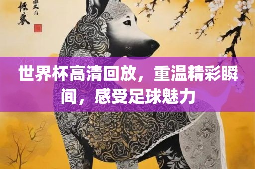 世界杯高清回放，重眉山市正发家政服务有限公司温精彩瞬间，感受足球魅力