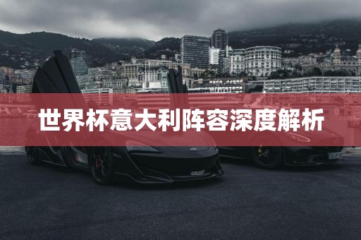 世界杯意大利阵容深度解析