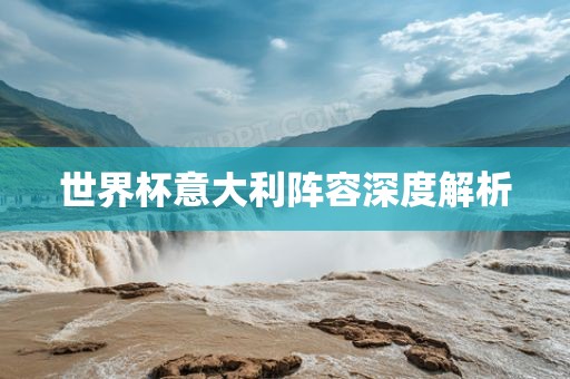 世界杯意大利阵容深度解析