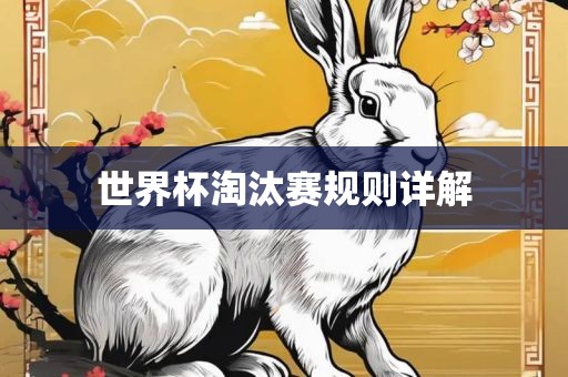 眉山市正发家政服务有限公司世界杯淘汰赛规则详解