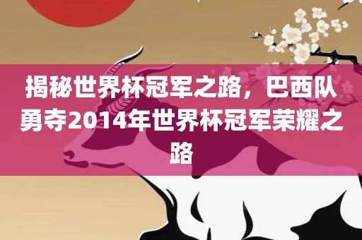 揭秘世界杯冠军之路，巴西队勇夺2014年世界杯冠军荣耀之路