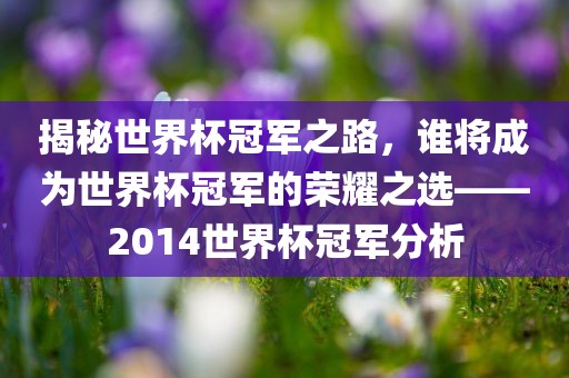 揭秘世界杯冠军之路，谁将成为世界杯冠军的荣耀之选——2014世界杯冠军分析眉山市正发家政服务有限公司