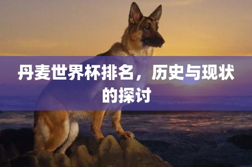 丹麦世界杯排名，历史与现状的探讨眉山市正发家政服务有限公司
