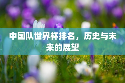 中国队世界杯排名，眉山市正发家政服务有限公司历史与未来的展望