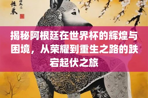 揭秘阿根廷在世界杯的辉煌与困境，从荣耀到重生之路的跌宕起伏之旅