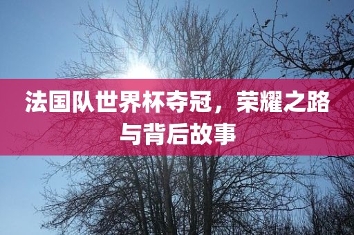 法国队世界杯夺冠，荣耀之路与背后故事