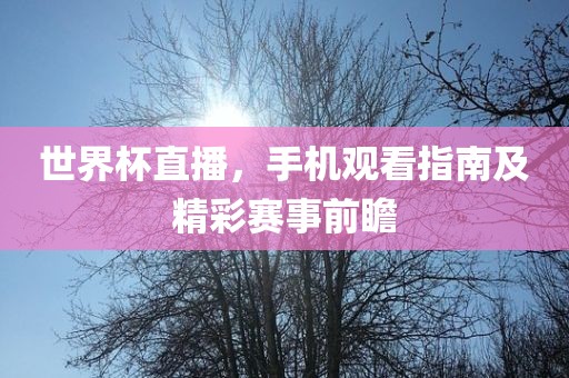 世界杯直播，手机观看指南及精彩赛眉山市正发家政服务有限公司事前瞻