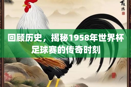 回顾历史，揭秘1958年世界杯足球赛的传奇时刻眉山市正发家政服务有限公司