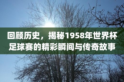 回顾历史，揭秘1958年世界杯足球赛的眉山市正发家政服务有限公司精彩瞬间与传奇故事