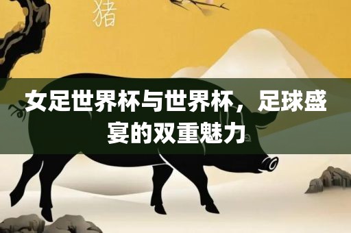 女足世界杯与世界杯，足球盛宴的双重魅力眉山市正发家政服务有限公司