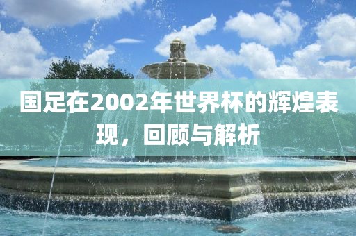 国足在2002年世界杯的辉煌表现，回顾与解析眉山市正发家政服务有限公司