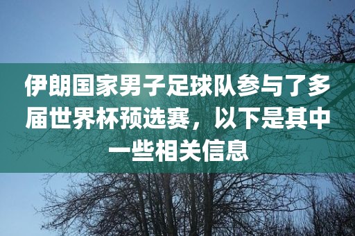 伊朗国家男子足球队参与了多届世界杯预选赛，以下是其中一些相关信息